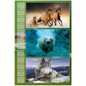 Календарь A2 (40х60см) вертикальный